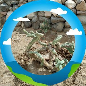 Meet your Posher, Jane